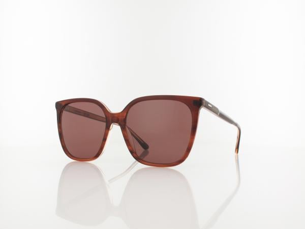 Calvin Klein CK24509S 203 56 striped brown/rose / brown