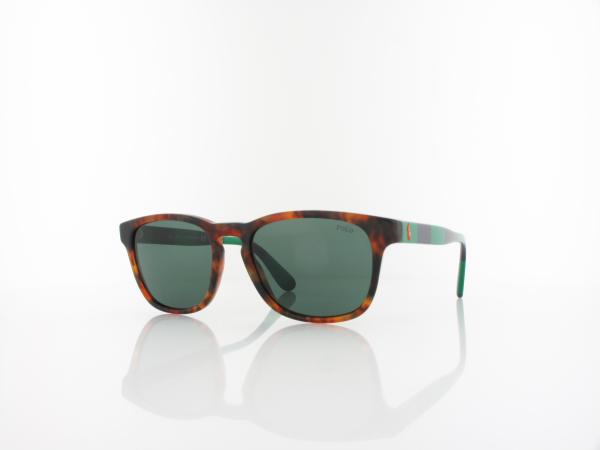 Polo Ralph Lauren PH4170 501771 53 shiny jerry tortoise / green