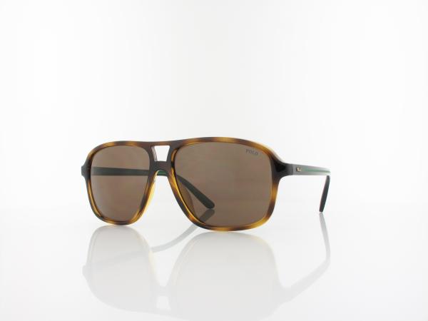 Polo Ralph Lauren PH4177U 500373 58 shiny havana / brown