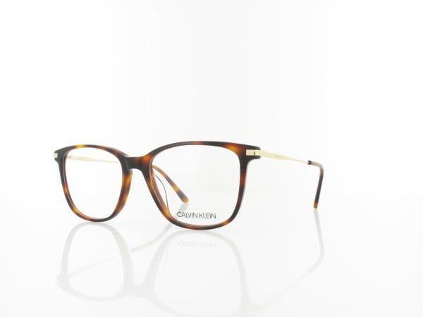 Calvin Klein CK19711 240 53 soft tortoise