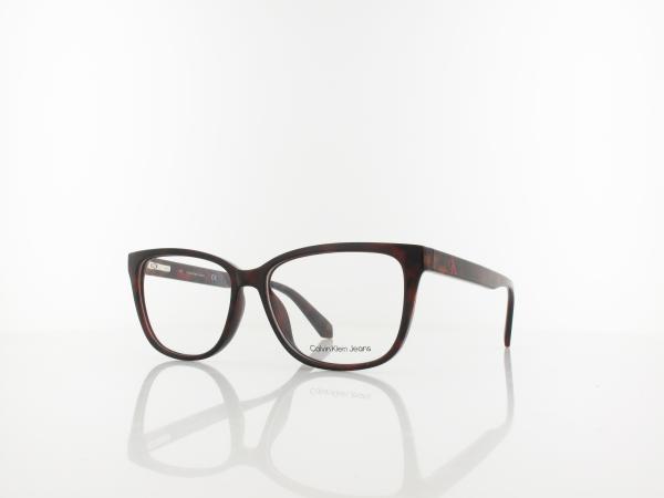 Calvin Klein CKJ22619 240 54 tortoise