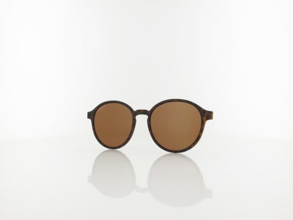 Brilando CLIP TRC-190A 2 havana / brown polarized