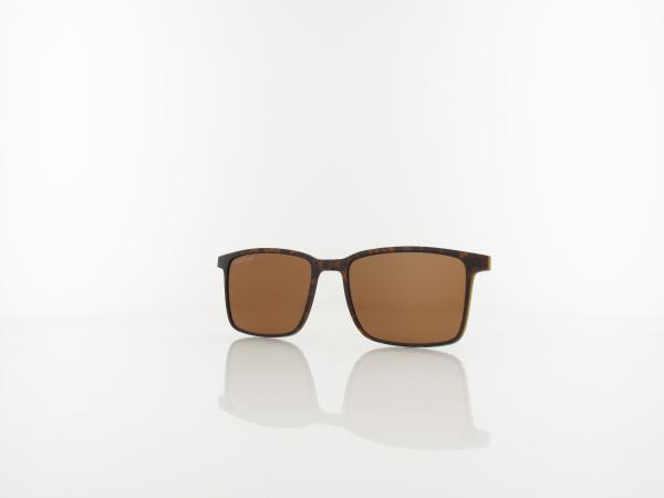 Brilando CLIP TRC-191A 2 turtle / brown polarized